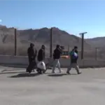 9748f1a2-cc12-4bfd-32d4-08de3be37656_w800_h450351951