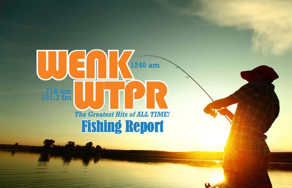 wenk-fishing-report