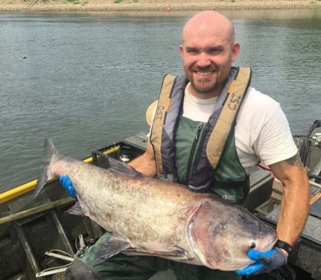 asian-carp-ky-experiment
