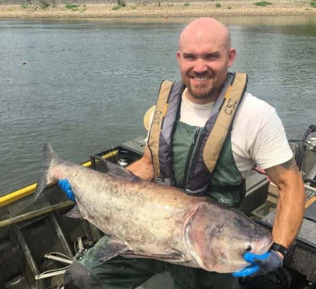 asian-carp-ky-experiment