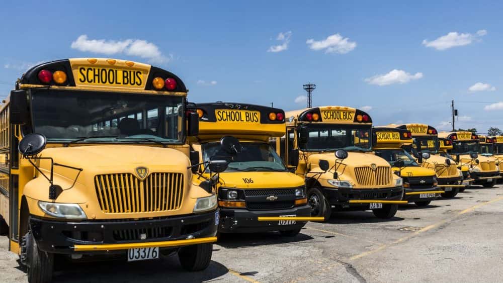 school-buses-shutterstock