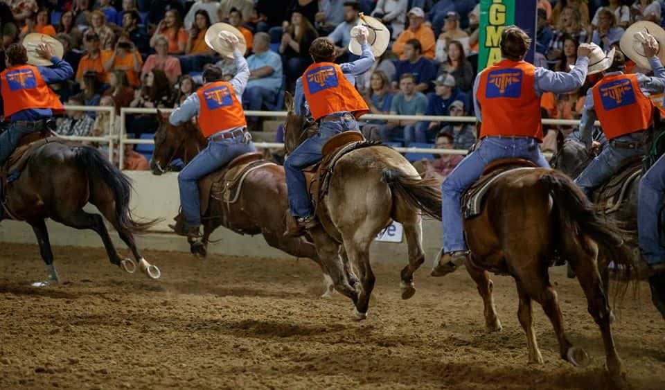 utm-rodeo