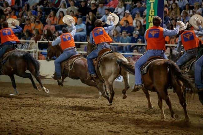 utm-rodeo