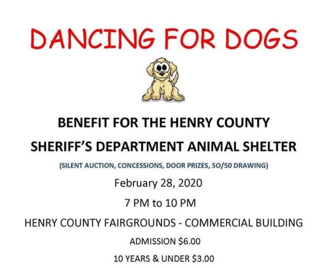dancing-for-dogs-cropped