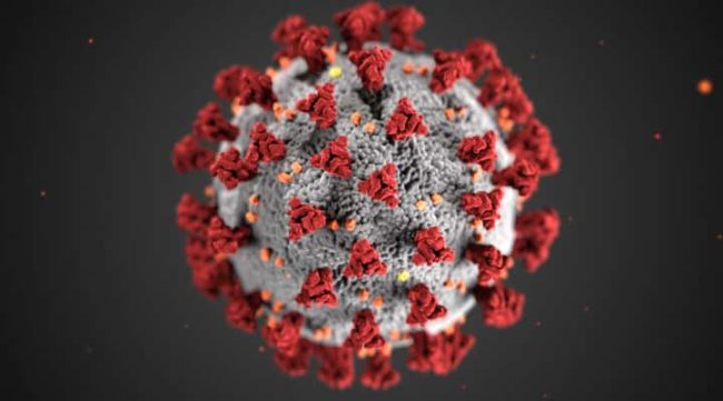 coronavirus-thing