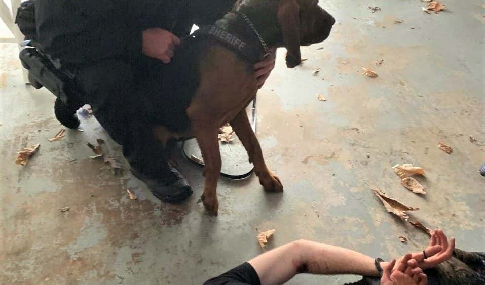 benjamin-fields-arrest