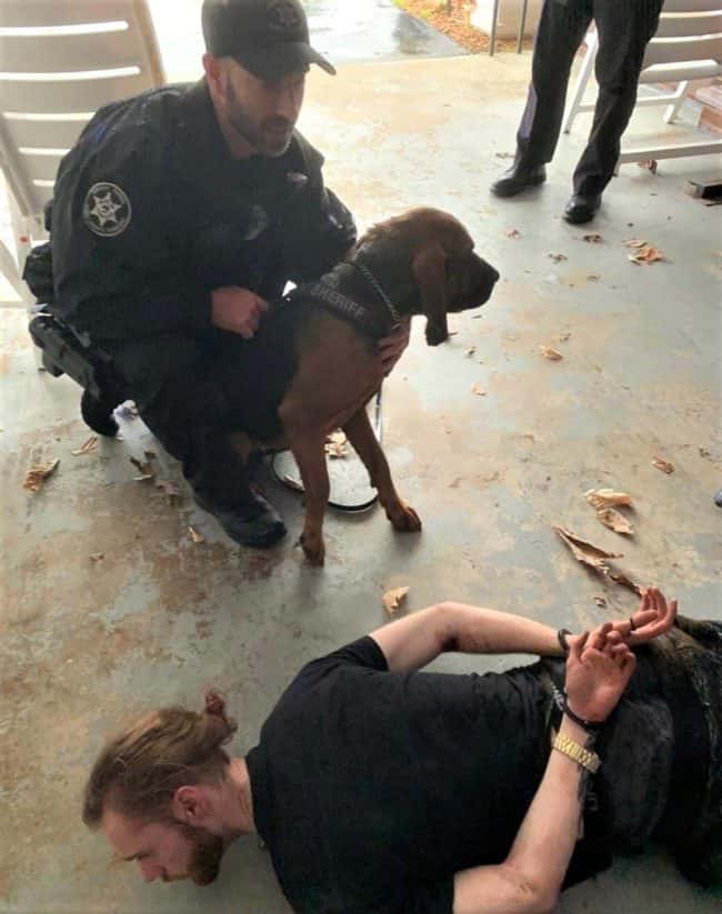 benjamin-fields-arrest