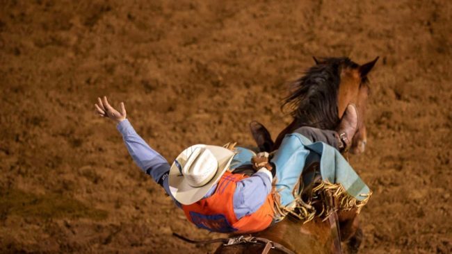 utm-rodeo-pic