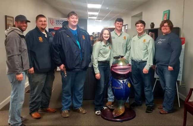 catfish-ffa