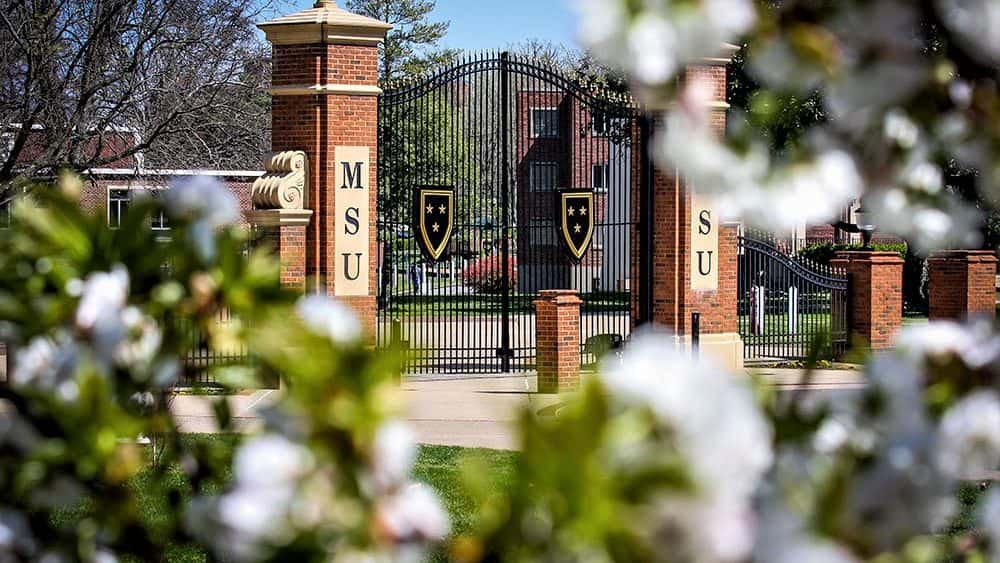 msu-w-flowers