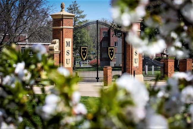 msu-w-flowers