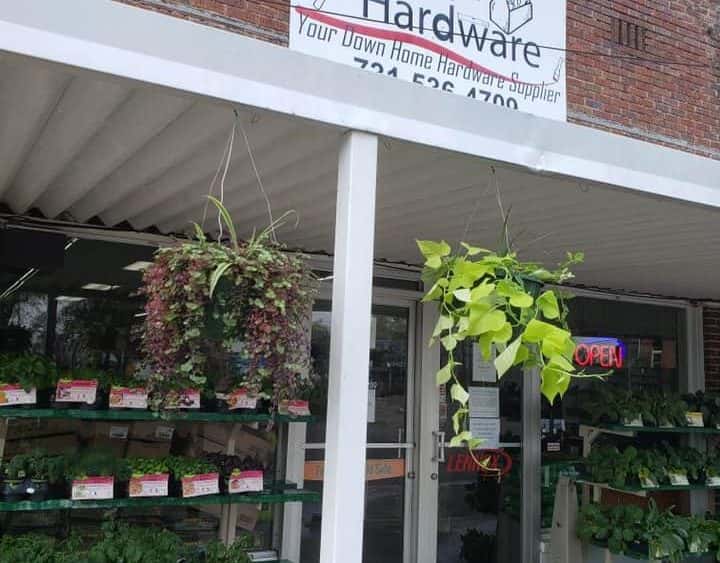 oc-plant-sale