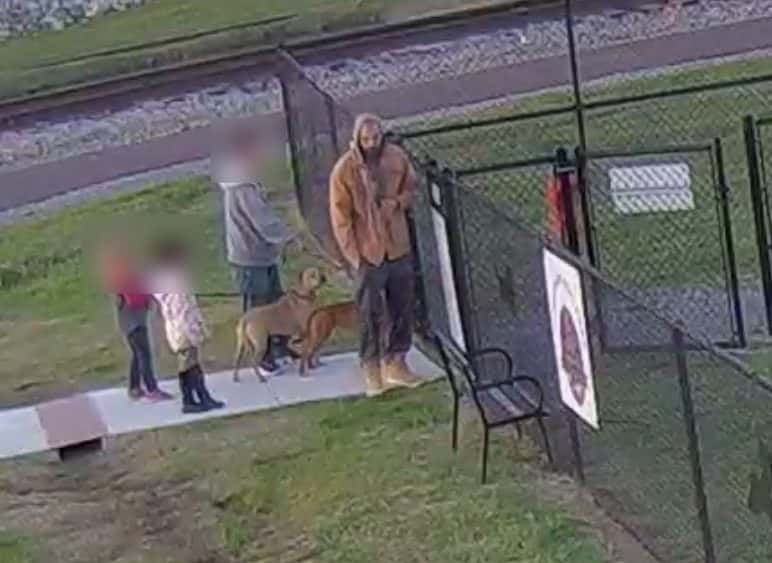 dyersburg-dog-park-1