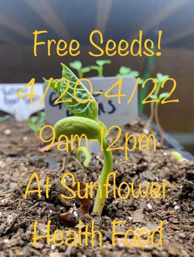 free-sees