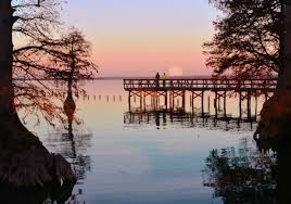 reelfoot-lake-pic
