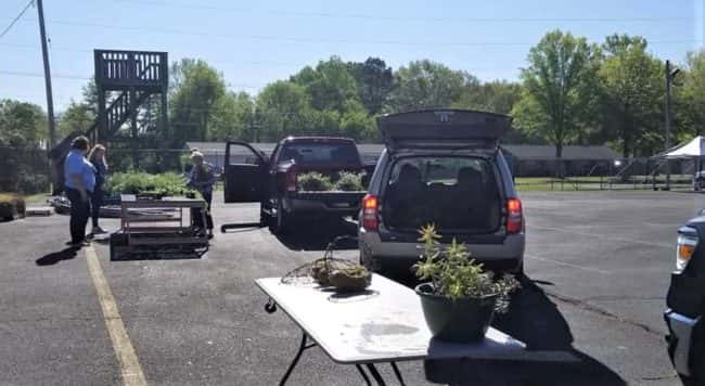 greenhouse-sale-crop