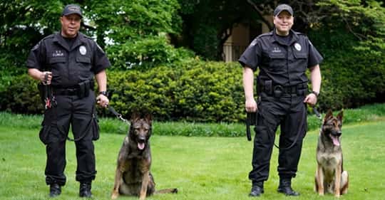 vanderbilt-k9s