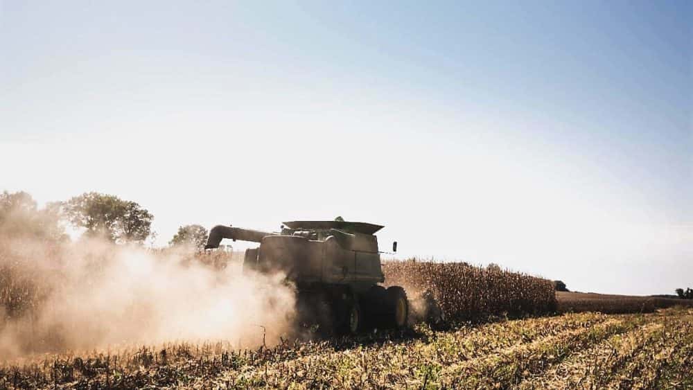 ag-businesses