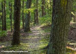 nathan-bedford-forest-trail
