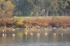cross-creeks