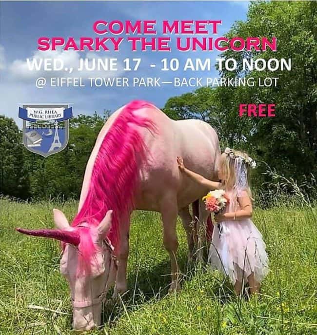 sparky-cropped