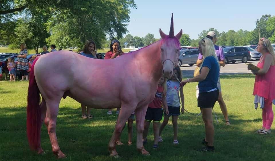 library-unicorn