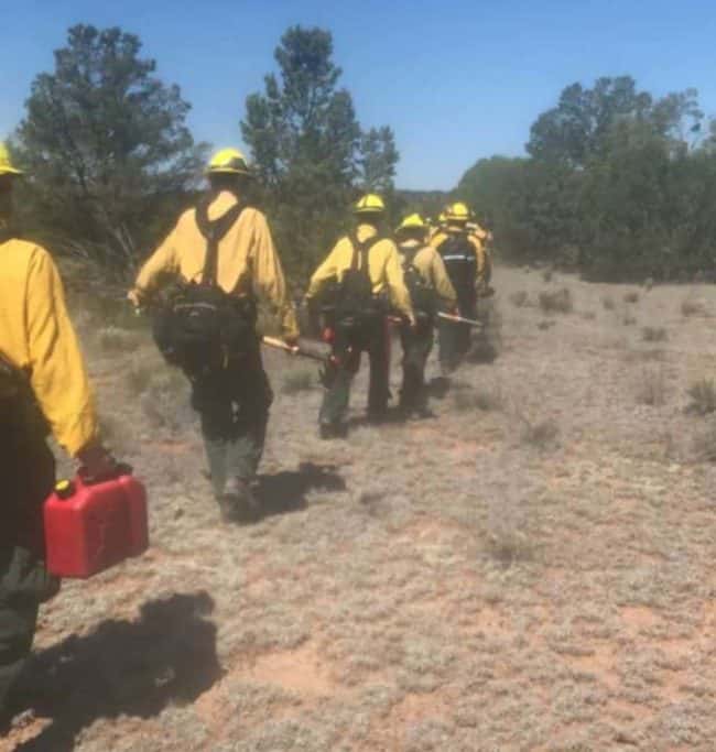 tenn-firefighters