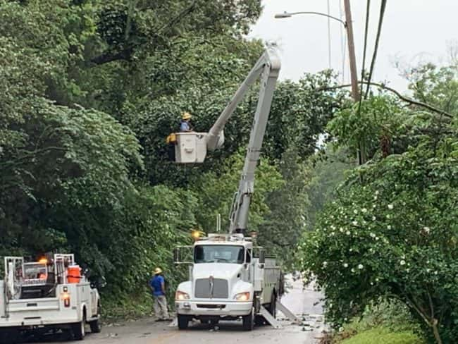 ogburn-tree-down