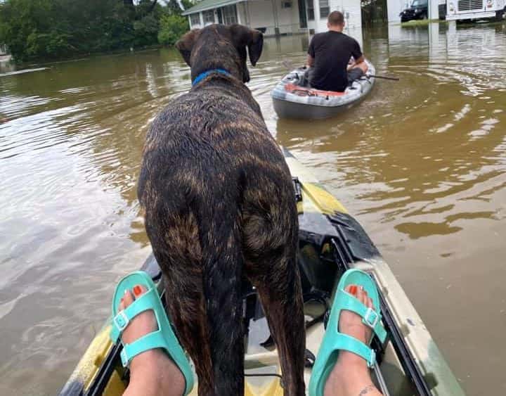 flooding-tna-fletcher