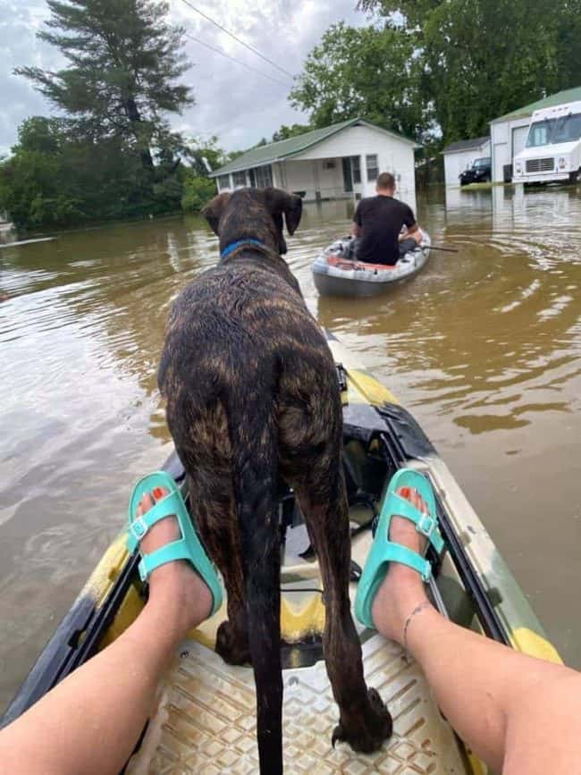 flooding-tna-fletcher