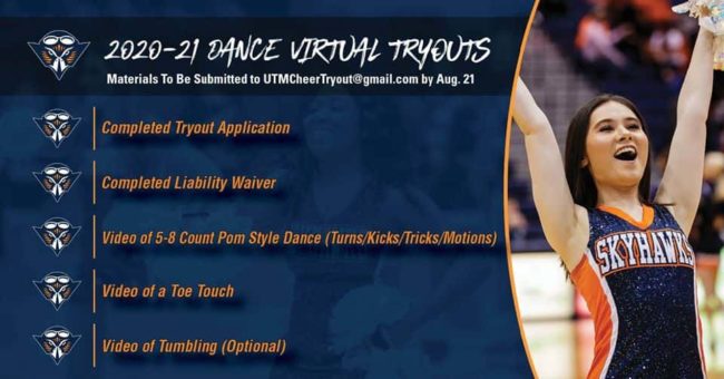 skyhawk-virtual-tryout