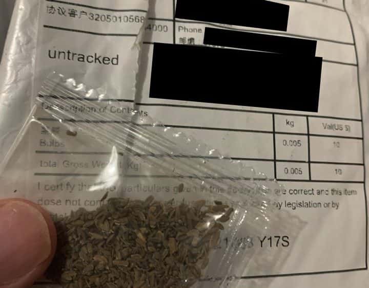 ag-seeds-1