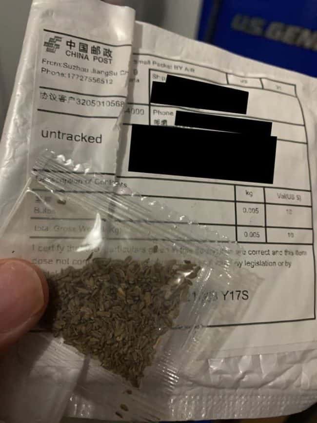 ag-seeds-1
