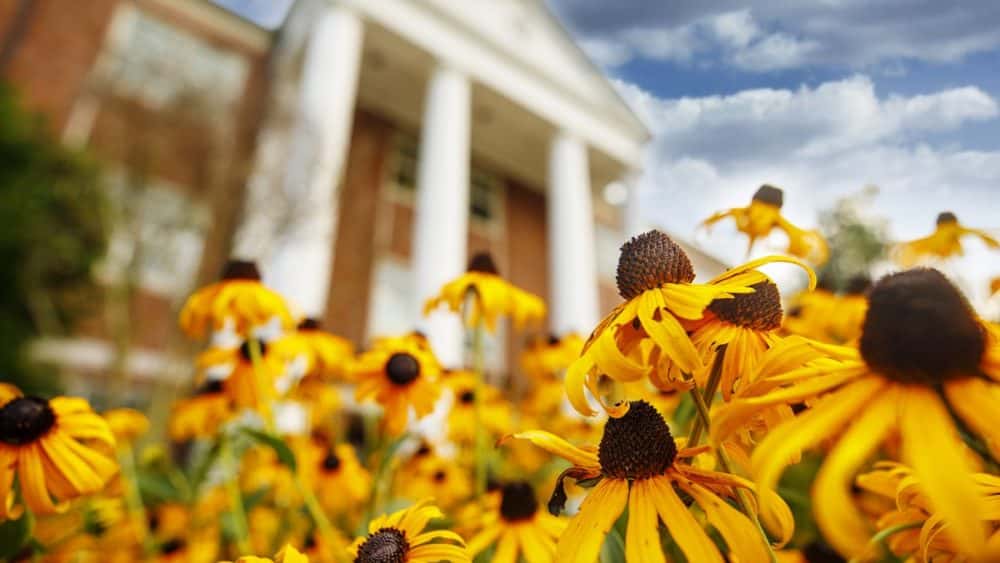 utm-w-flowers