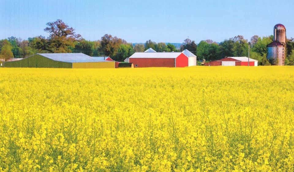 lee-farms-pic