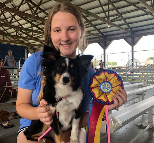 Obion County Fair Opens Today | radio NWTN