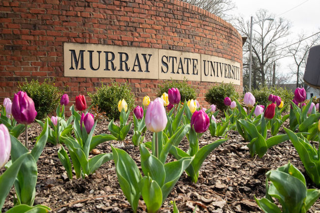 msu-w-flowers-2