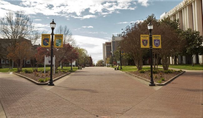 msu-quad