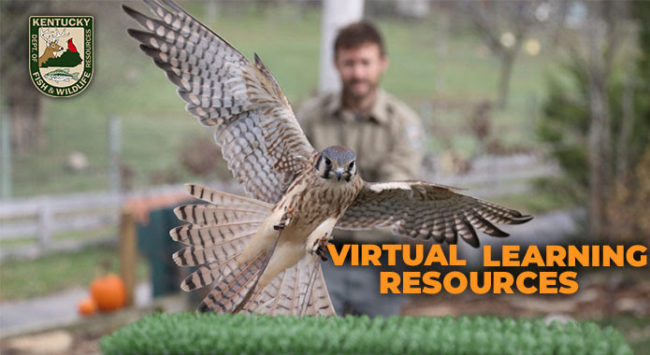 ky-fish-resources