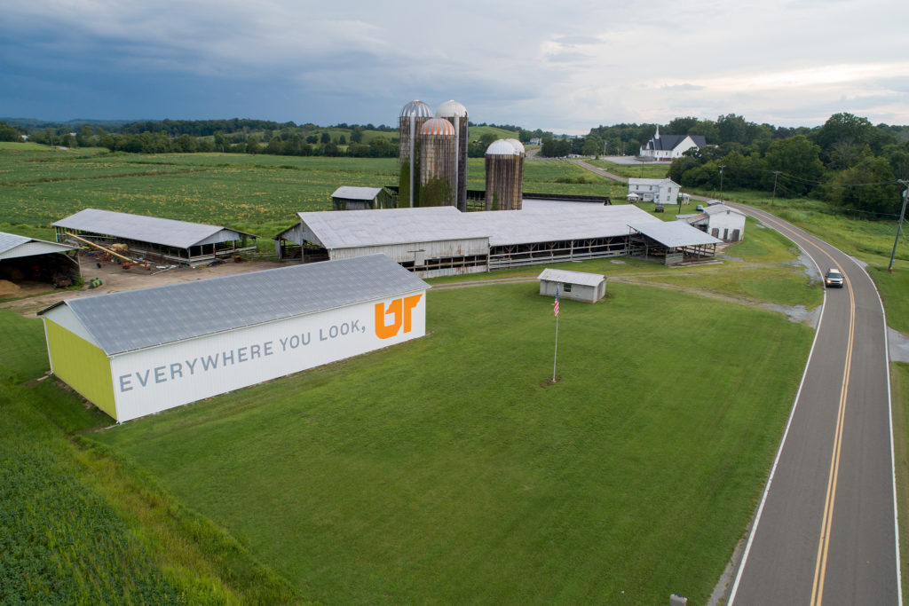 University of Tennessee Everywhere you look UT murals near halfway mark