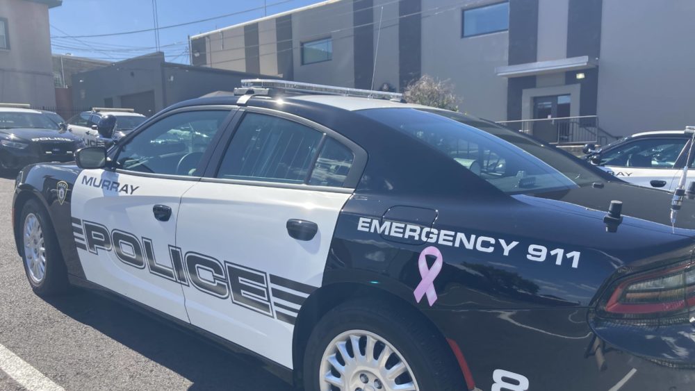 murray-pd-car-pink