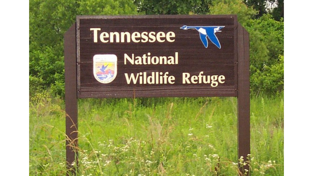 refuge
