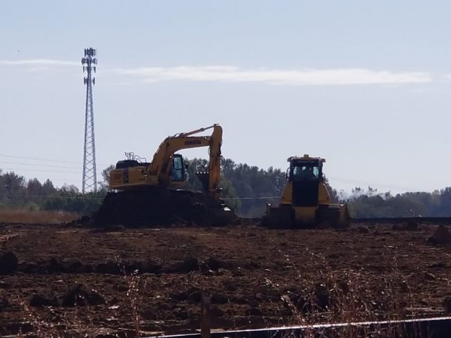 hampton-site-wk