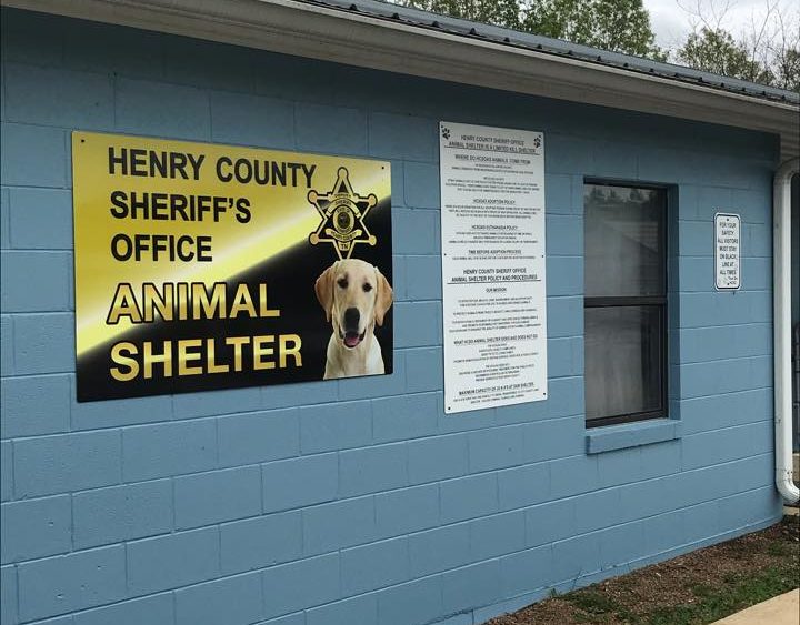 animal-shelter