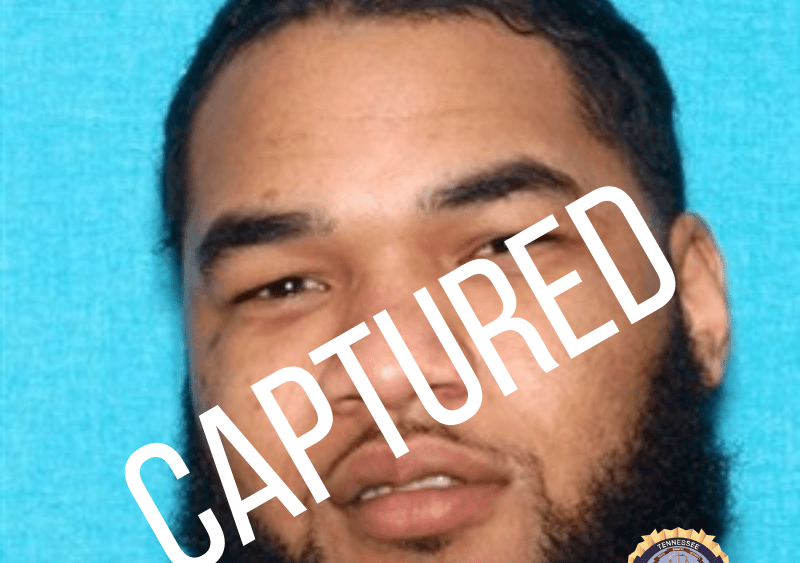kevin-dodd-capture