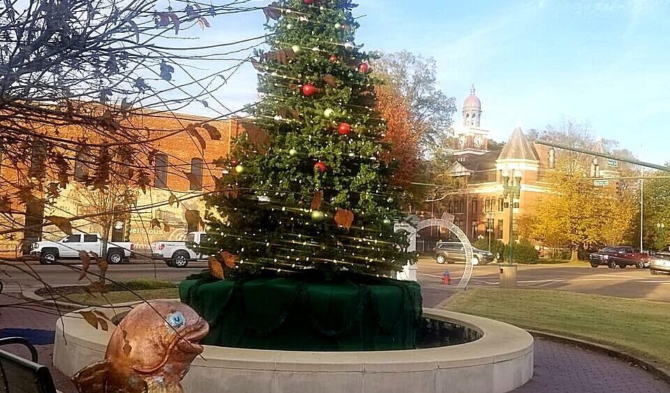 downtown-tree-crop