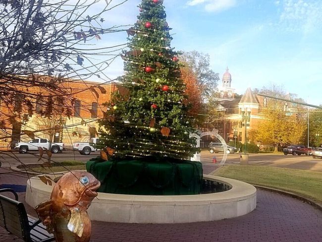 downtown-tree-crop