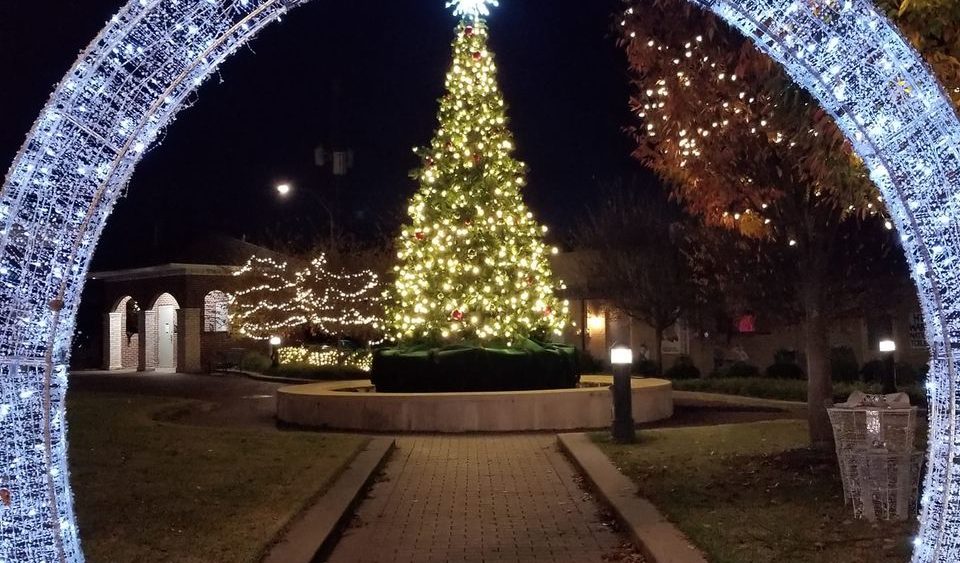 downtown-tree-and-arch