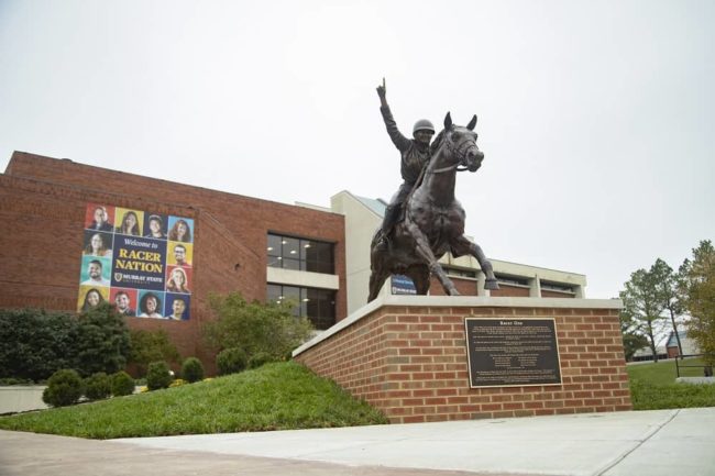 msu-horse-2