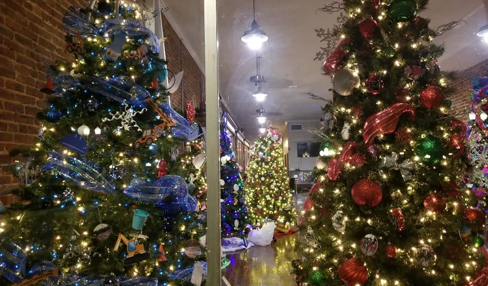 festiv-trees-me
